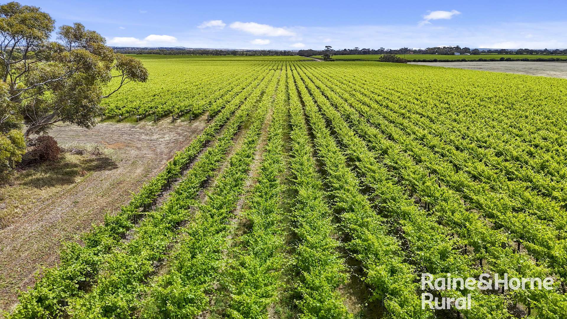 A8 Milang Road, Angas Plains Sold by Farmbuy.com - image 4