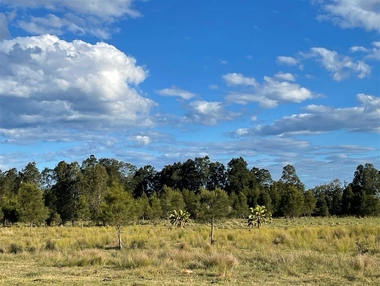 Lot 176 Dodds Road, Chinderah For Sale by Farmbuy.com - image 6