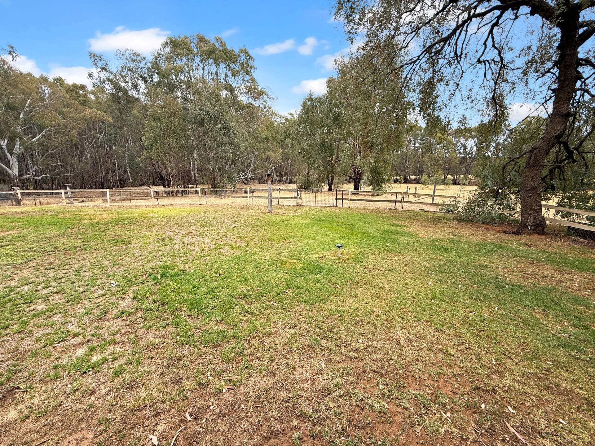 116 Woolscour Road, Narrandera For Sale by Farmbuy.com - image 11