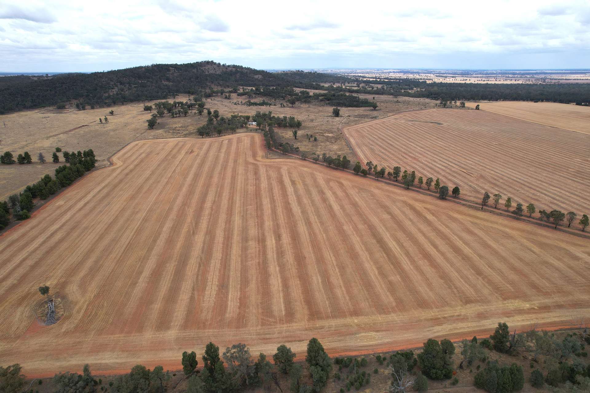 76 Kerrs Lane, Caragabal Sold by Farmbuy.com - image 1