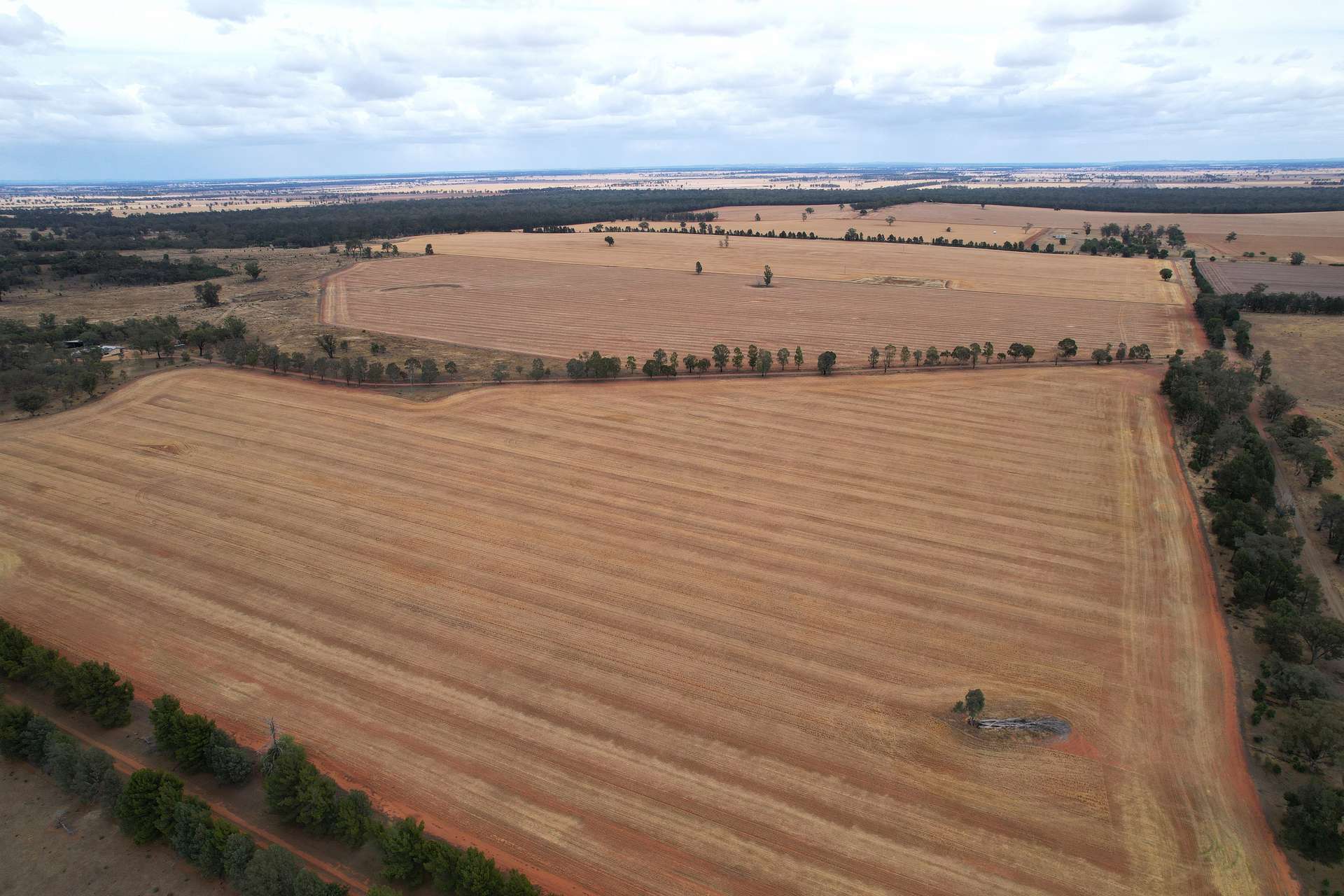 76 Kerrs Lane, Caragabal Sold by Farmbuy.com - image 23