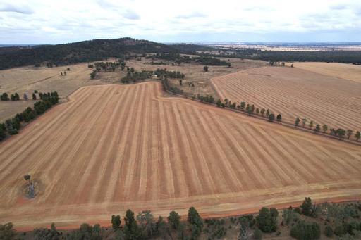 Farm Sold - NSW - Caragabal - 2810 - 
