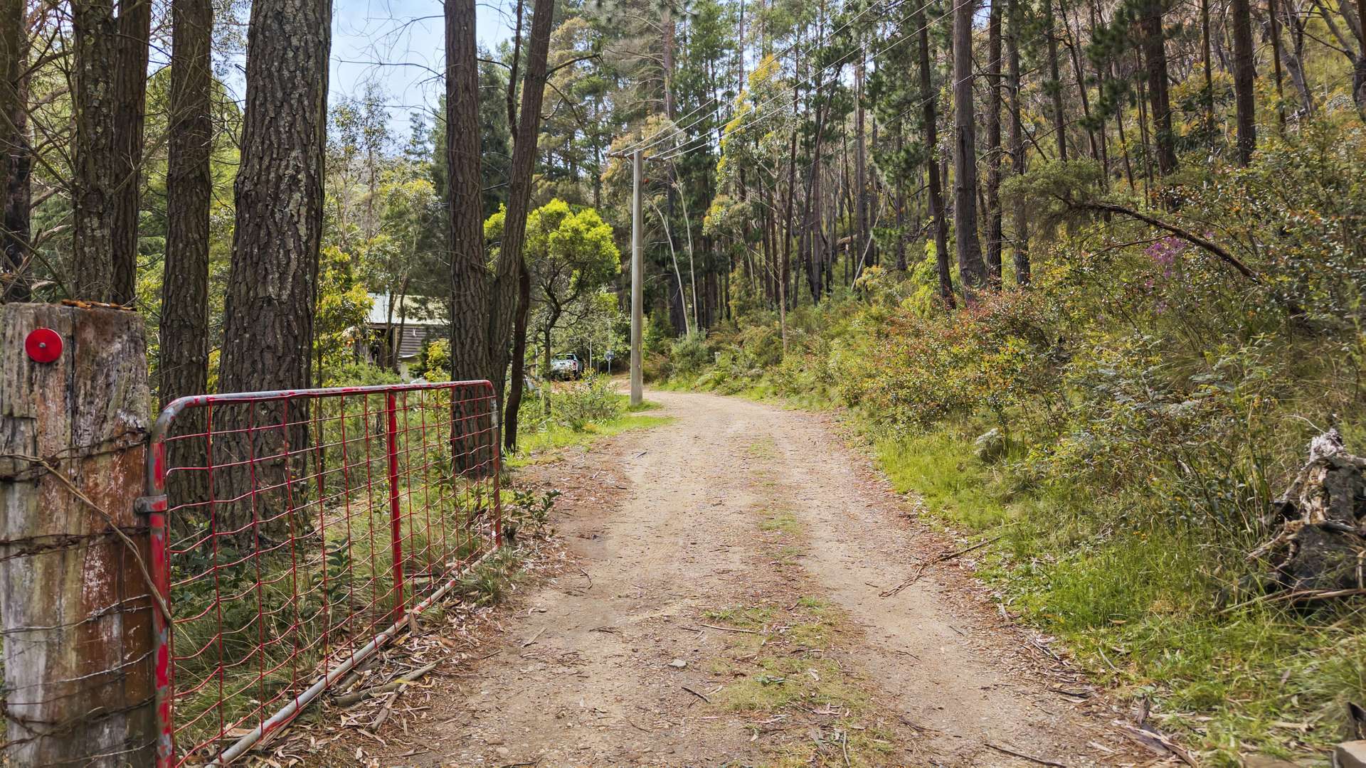 51 Doctors Gap Road, Doctors Gap Sold by Farmbuy.com - image 6
