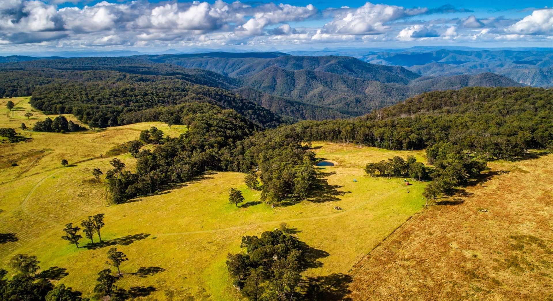 224 Wallaroo Range Road, Willsons Downfall For Sale by Farmbuy.com - image 22