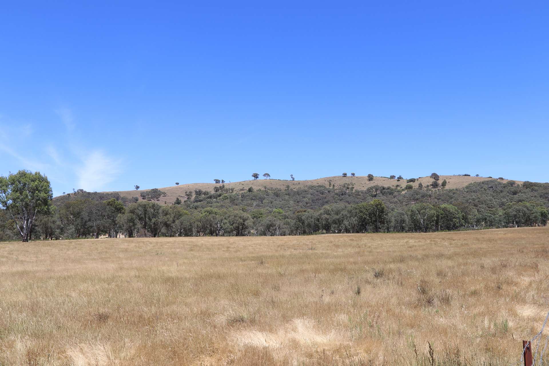 222 Battery Crossing Road, Reids Flat Sold by Farmbuy.com - image 17
