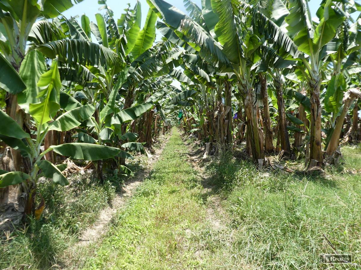 Lower Cowley For Sale by Farmbuy.com - image 15
