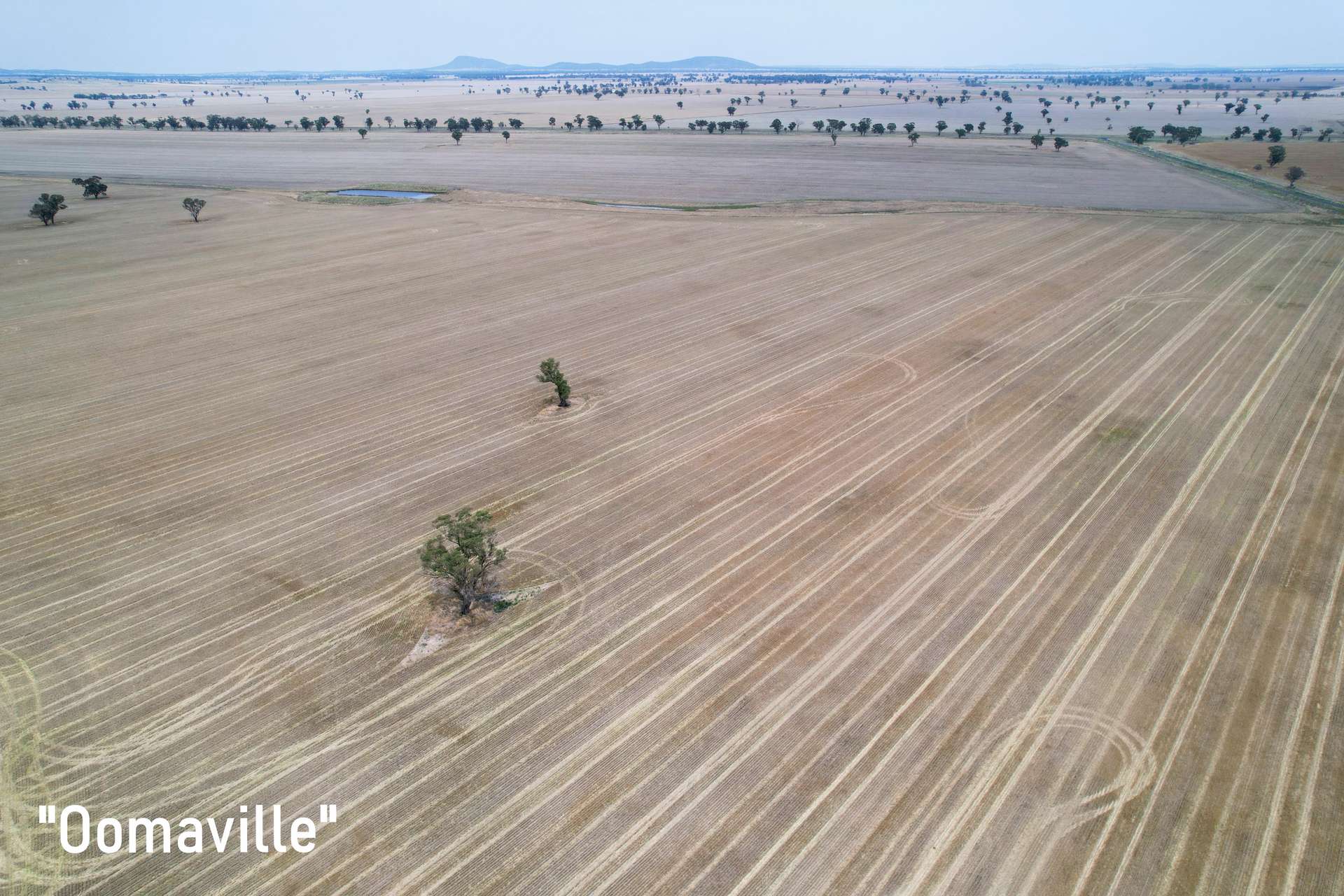 3497 Henry Lawson Way, Forbes For Sale by Farmbuy.com - image 11