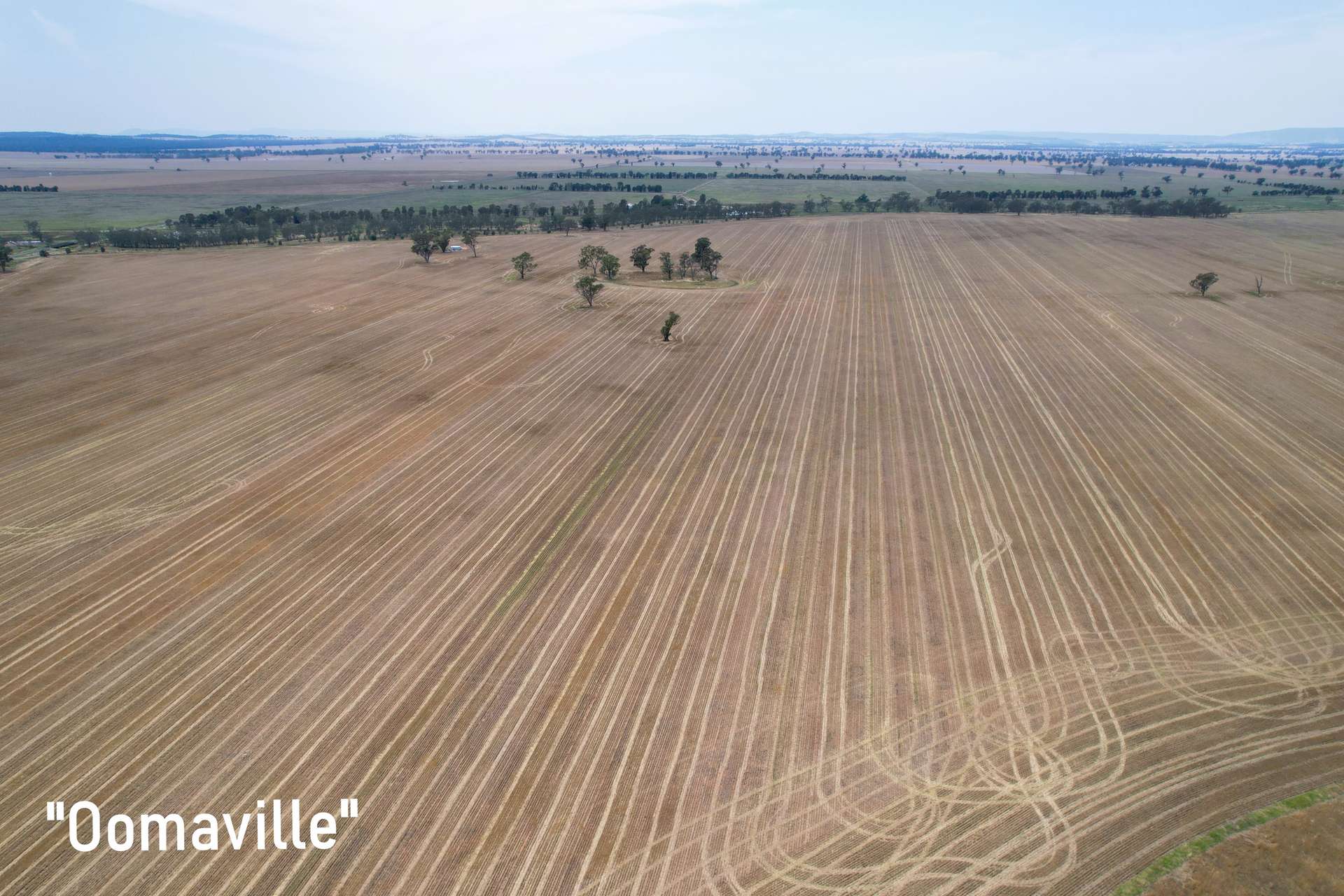 3497 Henry Lawson Way, Forbes For Sale by Farmbuy.com - image 13