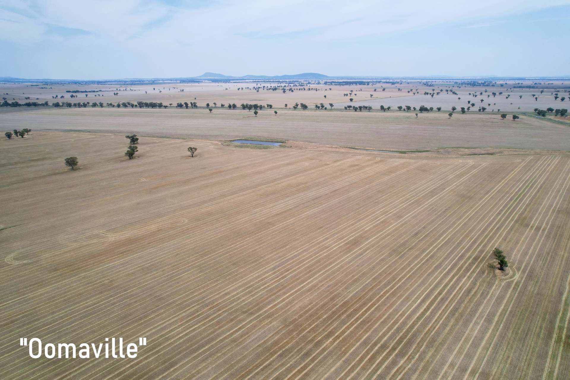 3497 Henry Lawson Way, Forbes For Sale by Farmbuy.com - image 10