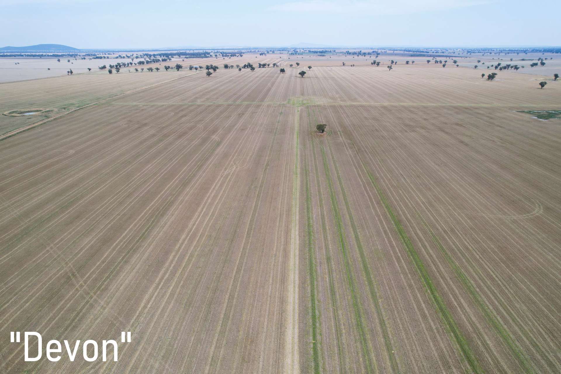 3497 Henry Lawson Way, Forbes For Sale by Farmbuy.com - image 11