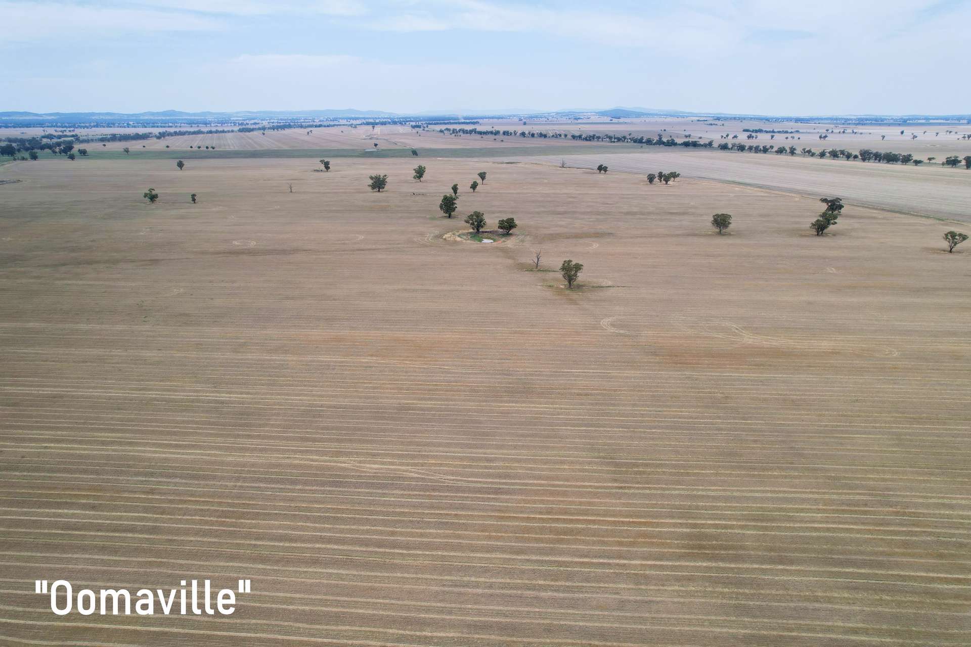 3497 Henry Lawson Way, Forbes For Sale by Farmbuy.com - image 12