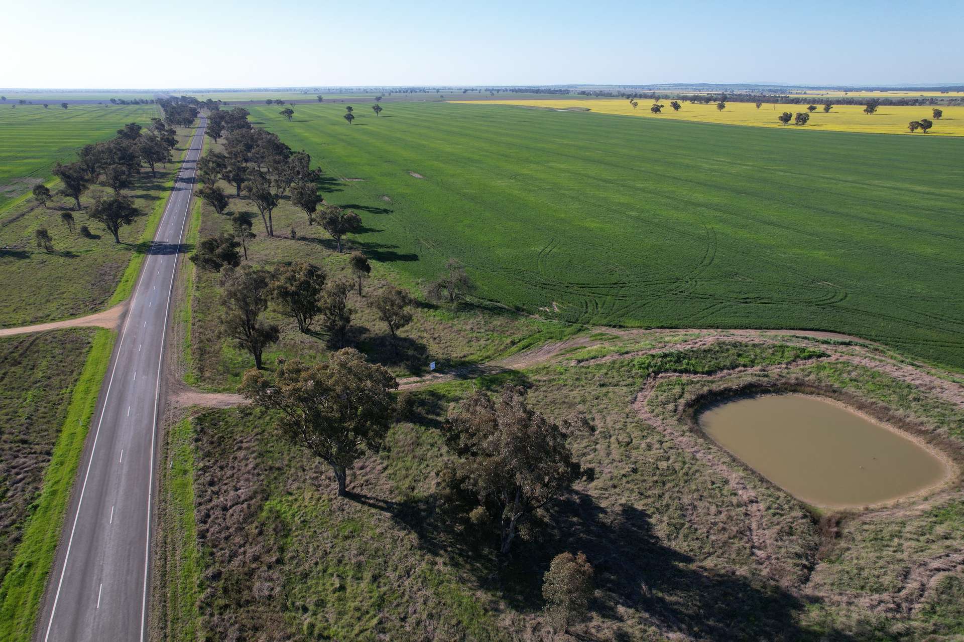 3497 Henry Lawson Way, Forbes For Sale by Farmbuy.com - image 7