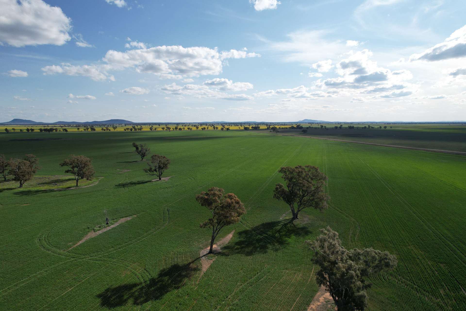 3497 Henry Lawson Way, Forbes For Sale by Farmbuy.com - image 5