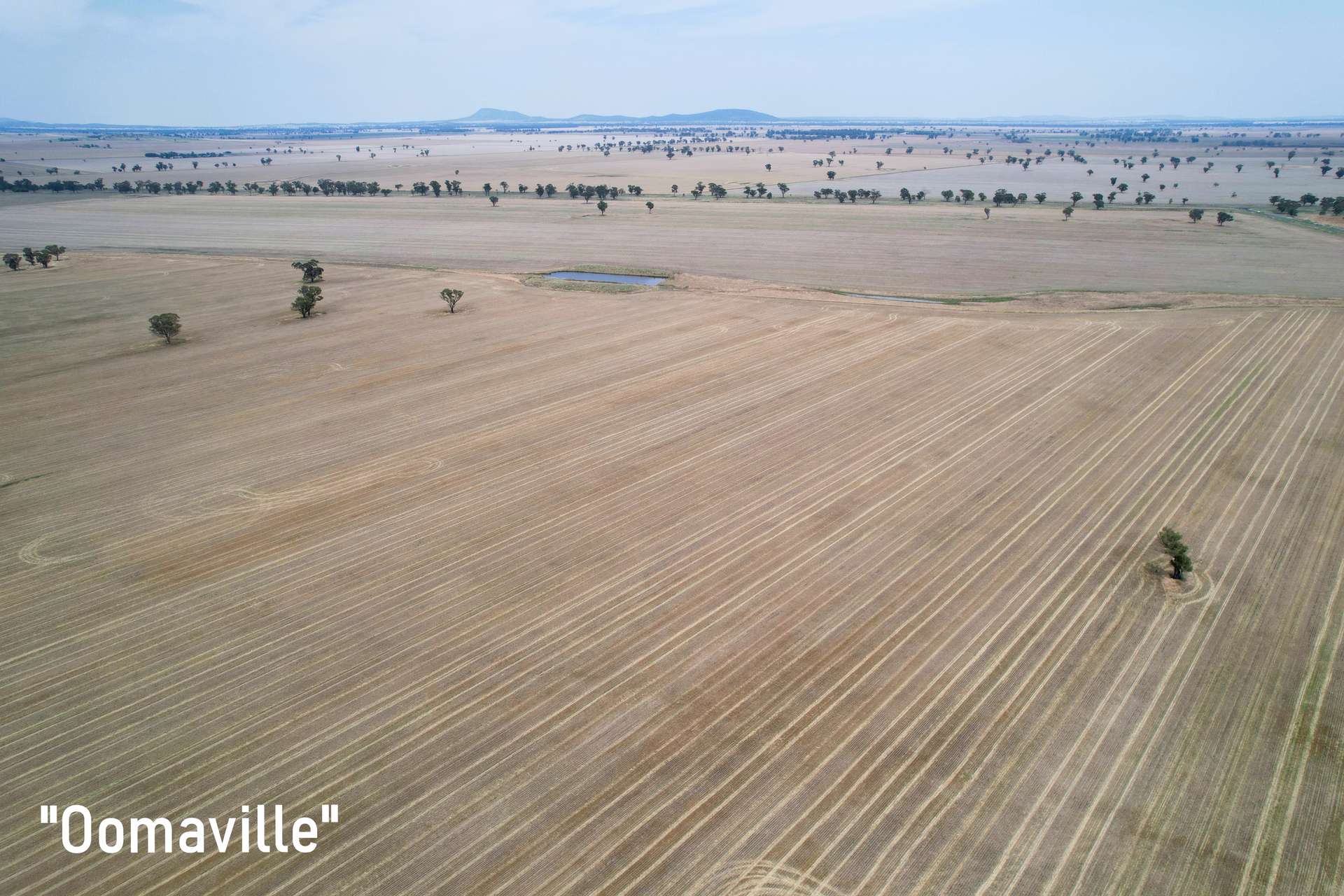 3497 Henry Lawson Way, Forbes For Sale by Farmbuy.com - image 9