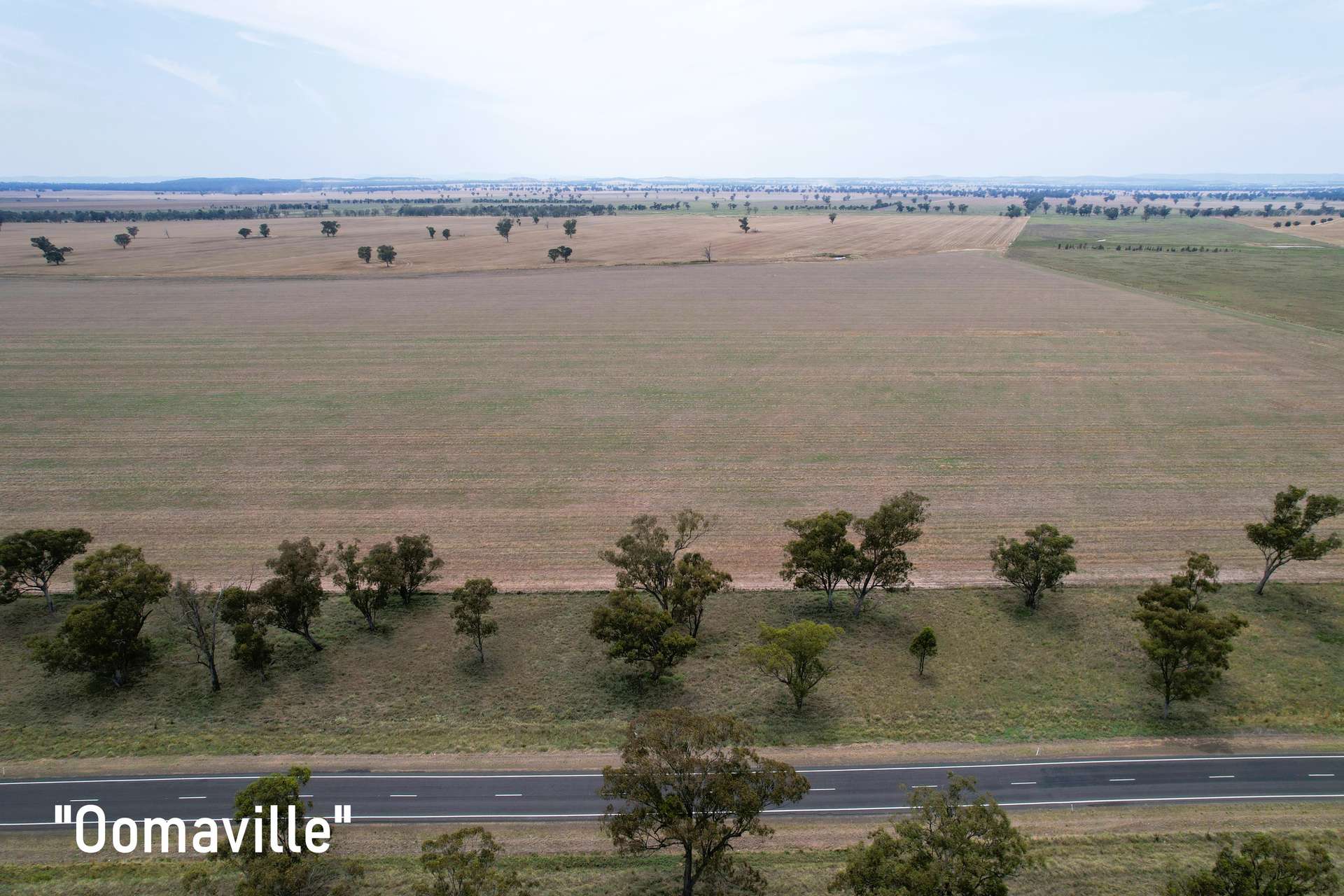 3497 Henry Lawson Way, Forbes For Sale by Farmbuy.com - image 17