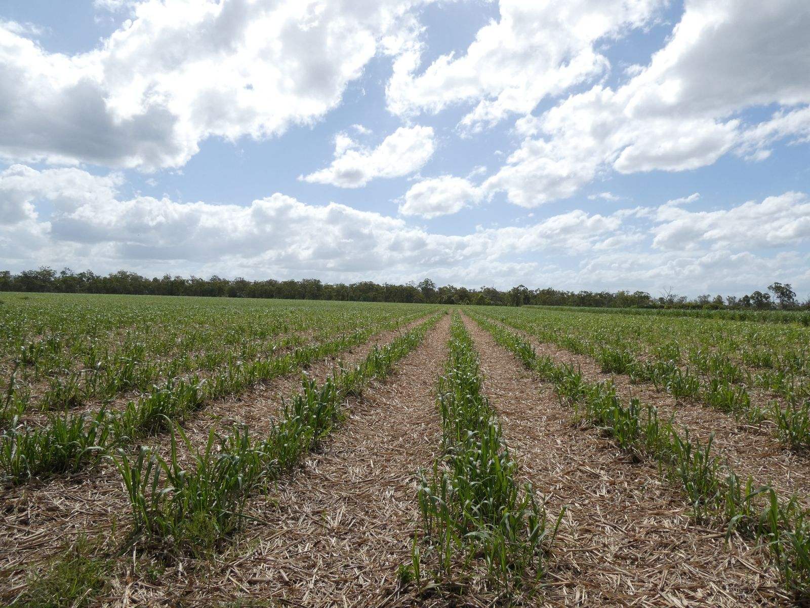 3392 Childers Road, Gregory River For Sale by Farmbuy.com - image 15