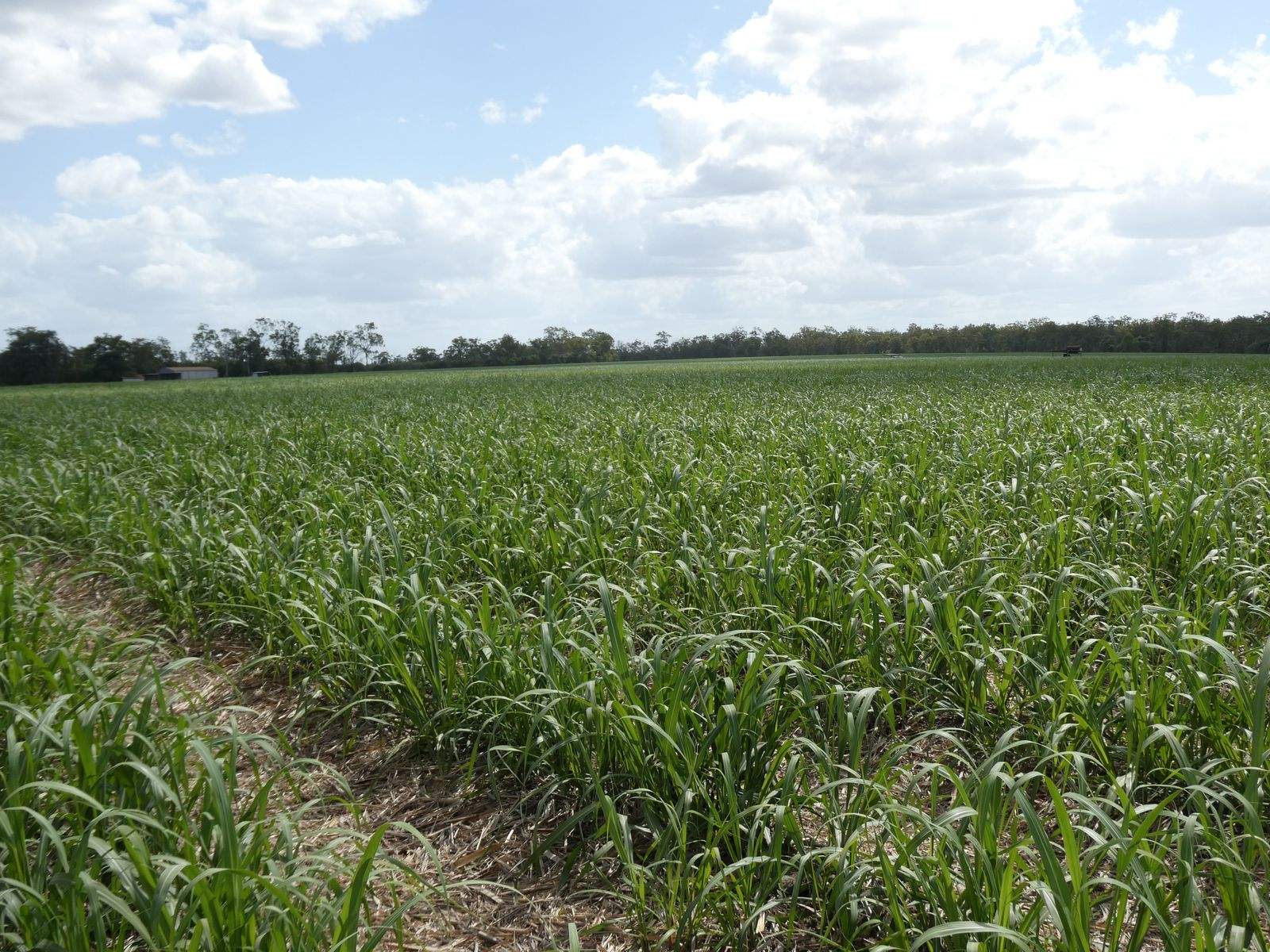 3392 Childers Road, Gregory River For Sale by Farmbuy.com - image 21