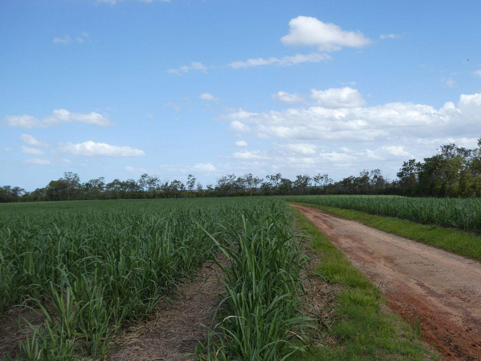 3392 Childers Road, Gregory River For Sale by Farmbuy.com - image 19