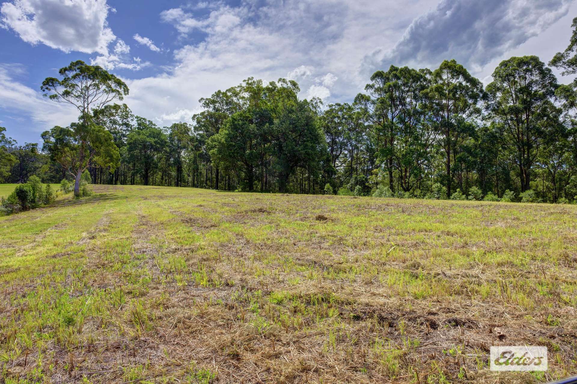 1589 Comboyne Road, Killabakh Sold by Farmbuy.com - image 16