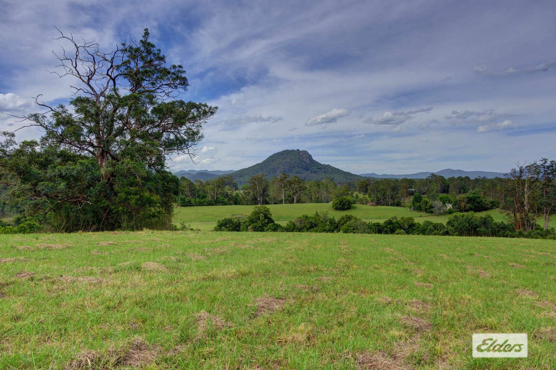 1589 Comboyne Road, Killabakh Sold by Farmbuy.com - image 2