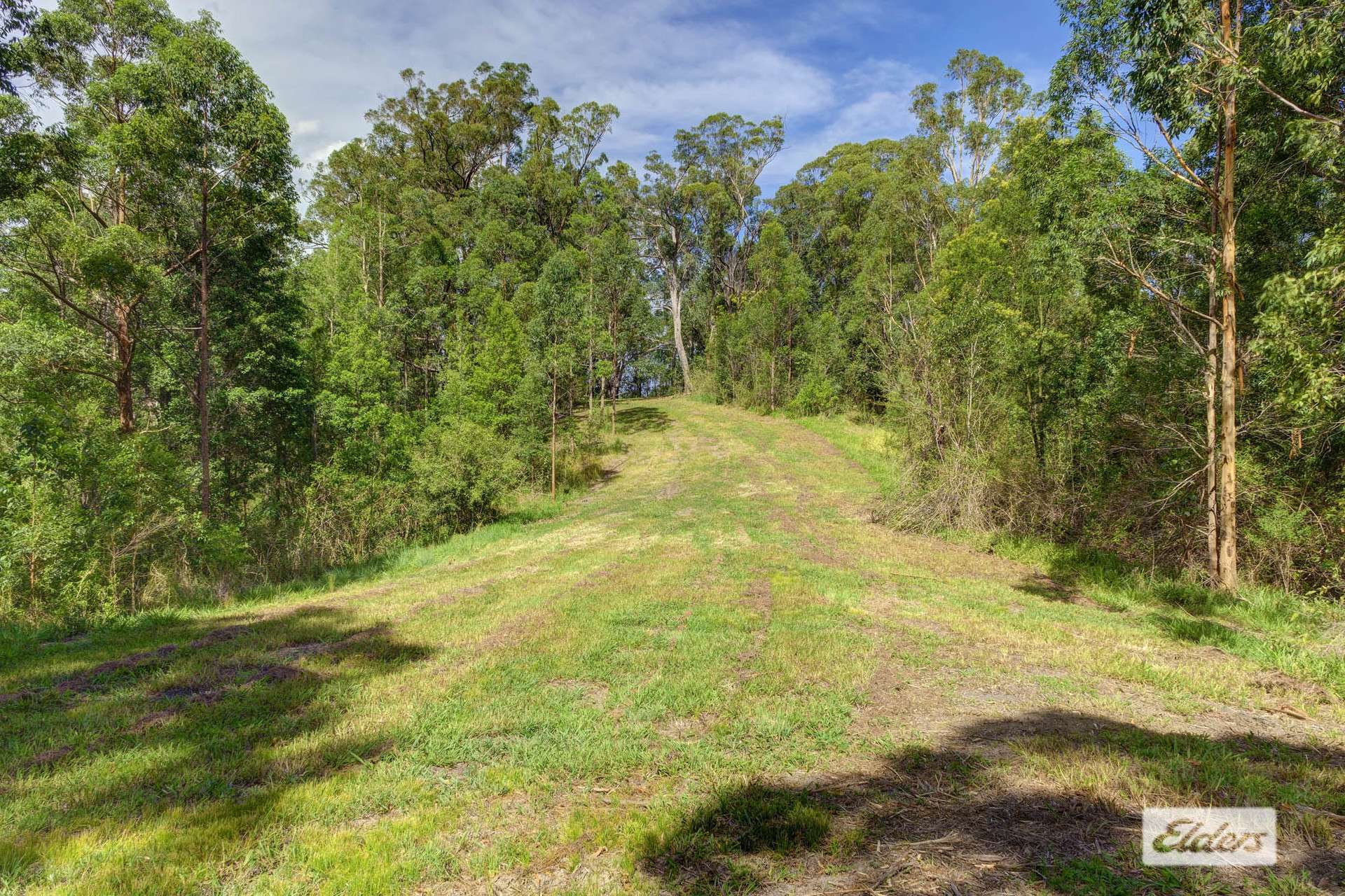 1589 Comboyne Road, Killabakh Sold by Farmbuy.com - image 18