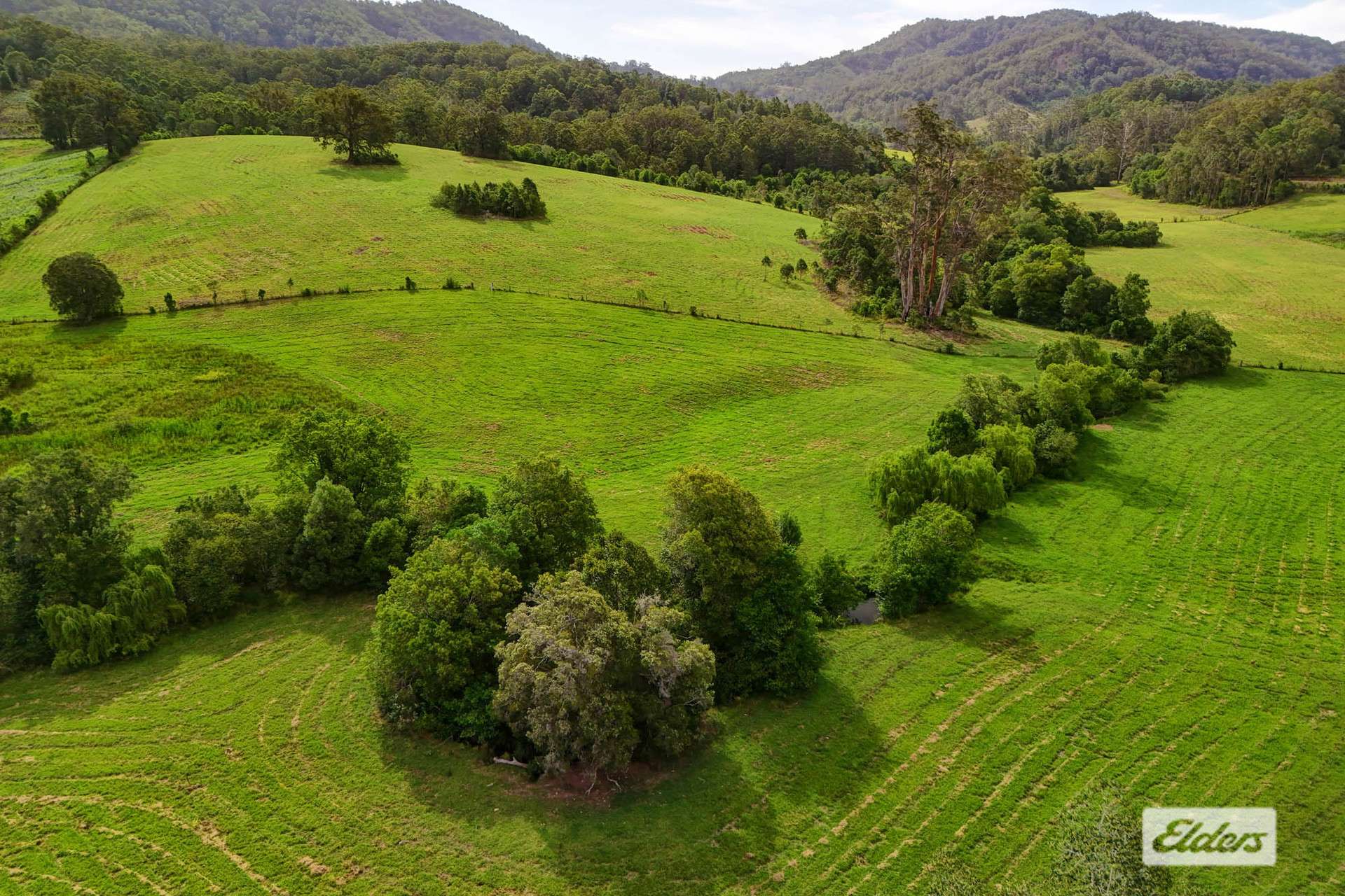 1589 Comboyne Road, Killabakh Sold by Farmbuy.com - image 7