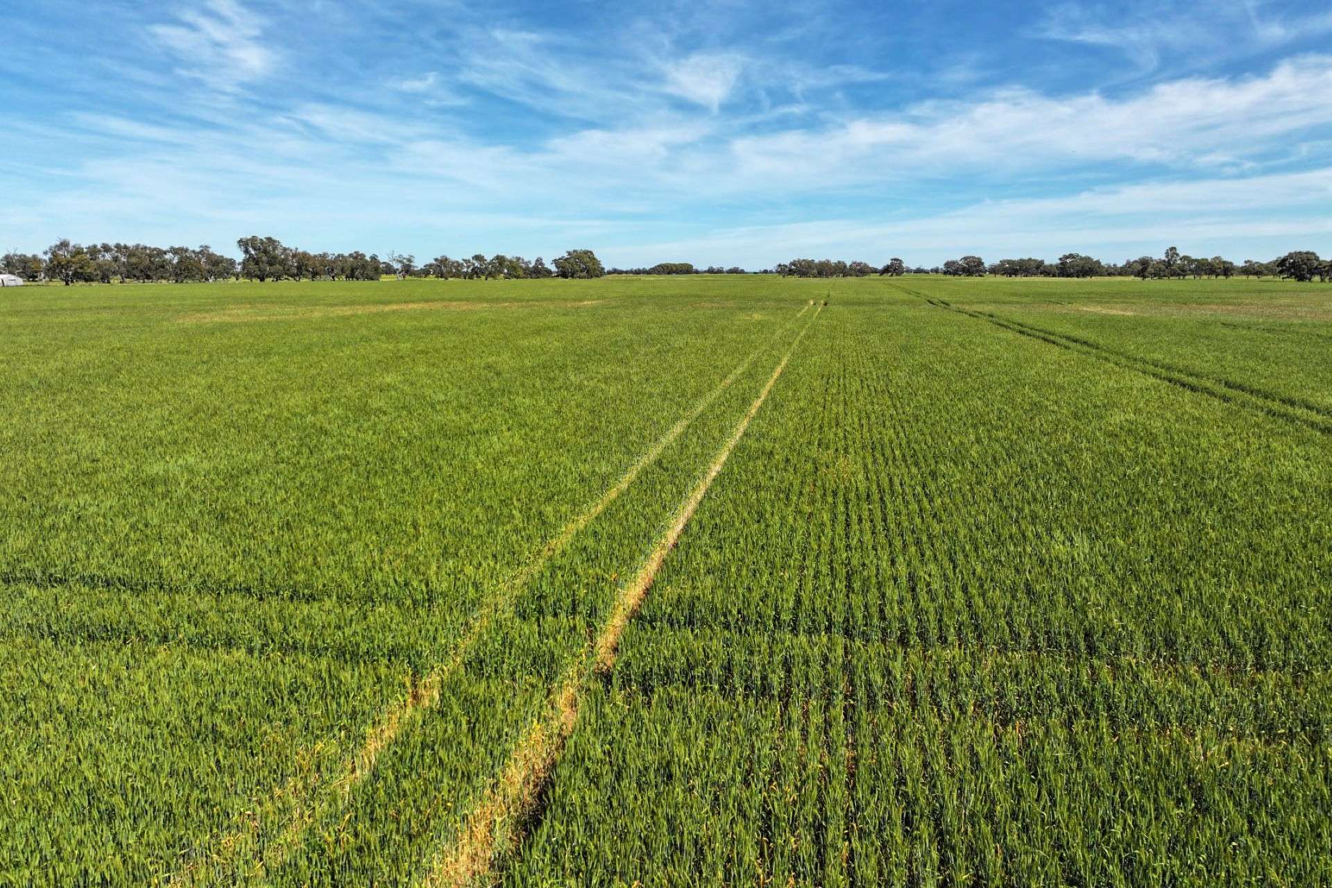 1800 Mt Terrick Road, Roslynmead For Sale by Farmbuy.com - image 10