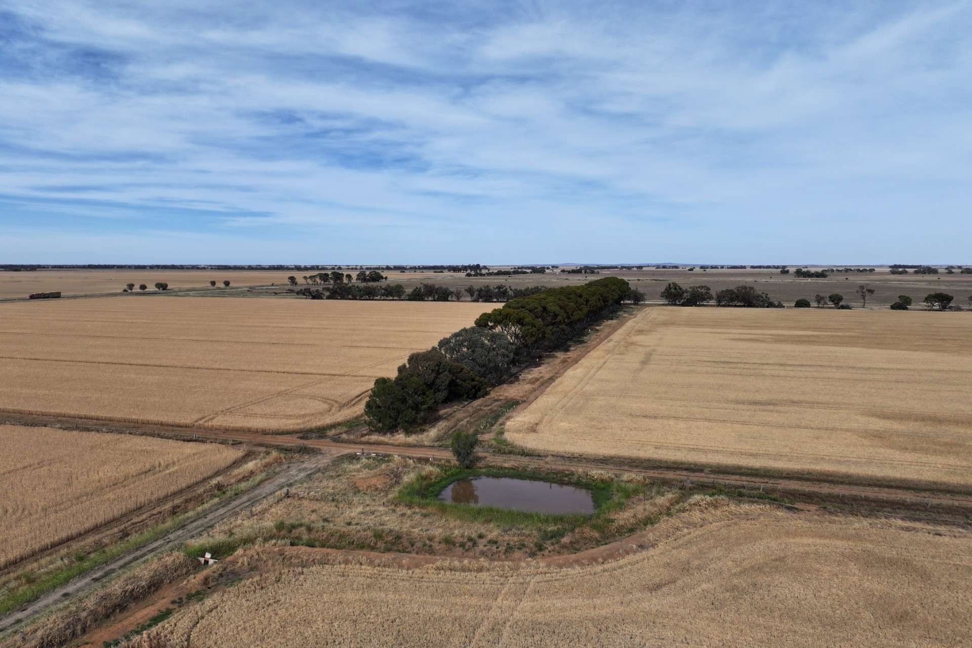 1800 Mt Terrick Road, Roslynmead For Sale by Farmbuy.com - image 5