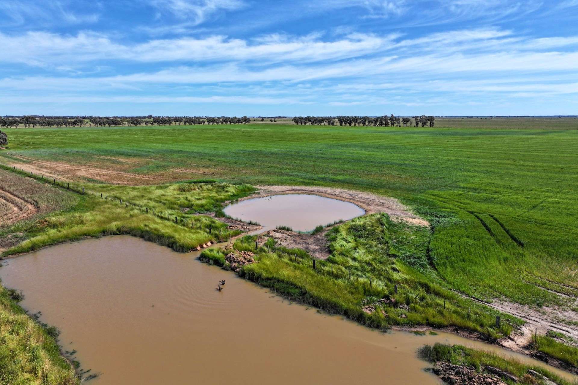 1800 Mt Terrick Road, Roslynmead For Sale by Farmbuy.com - image 6