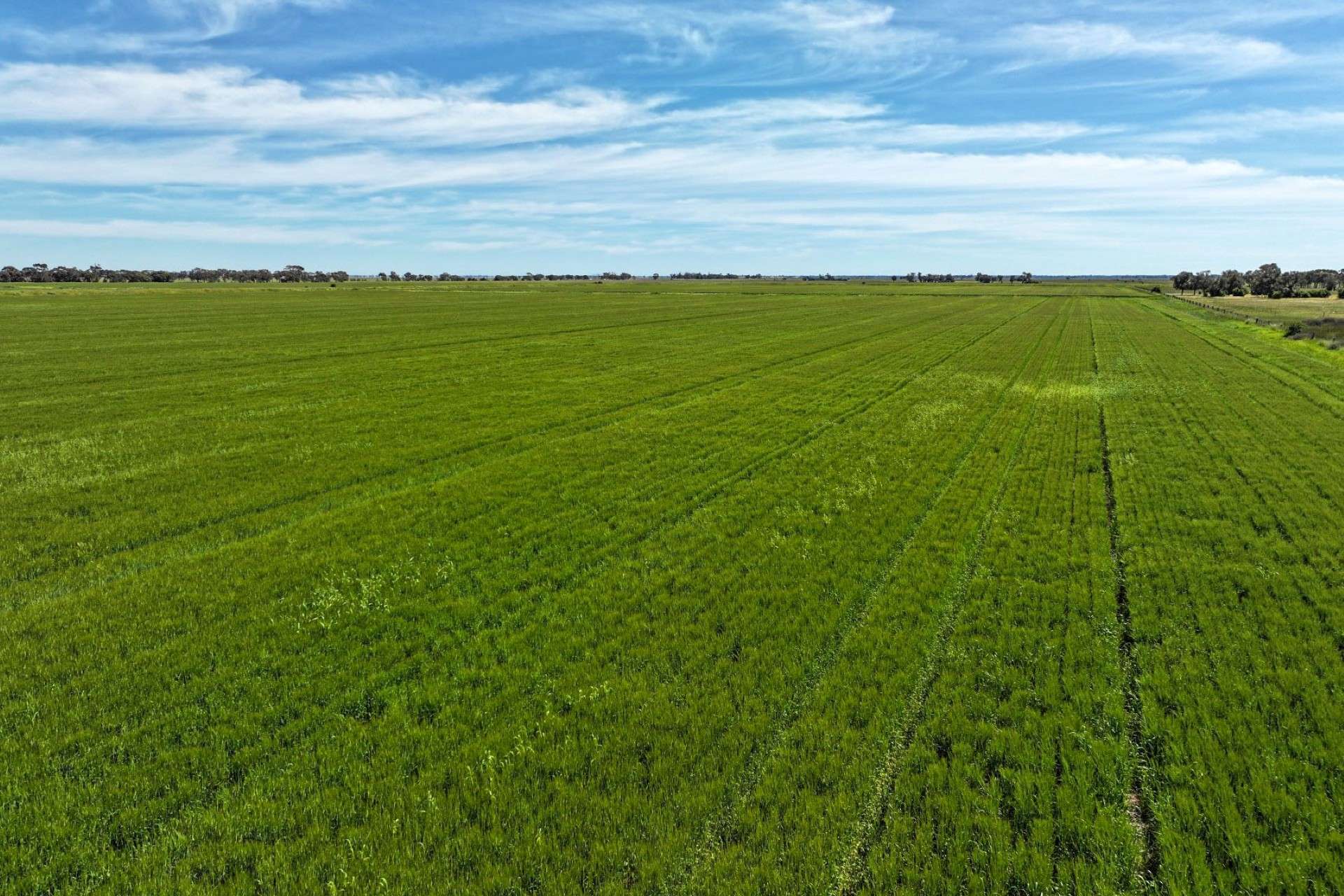 1800 Mt Terrick Road, Roslynmead For Sale by Farmbuy.com - image 12