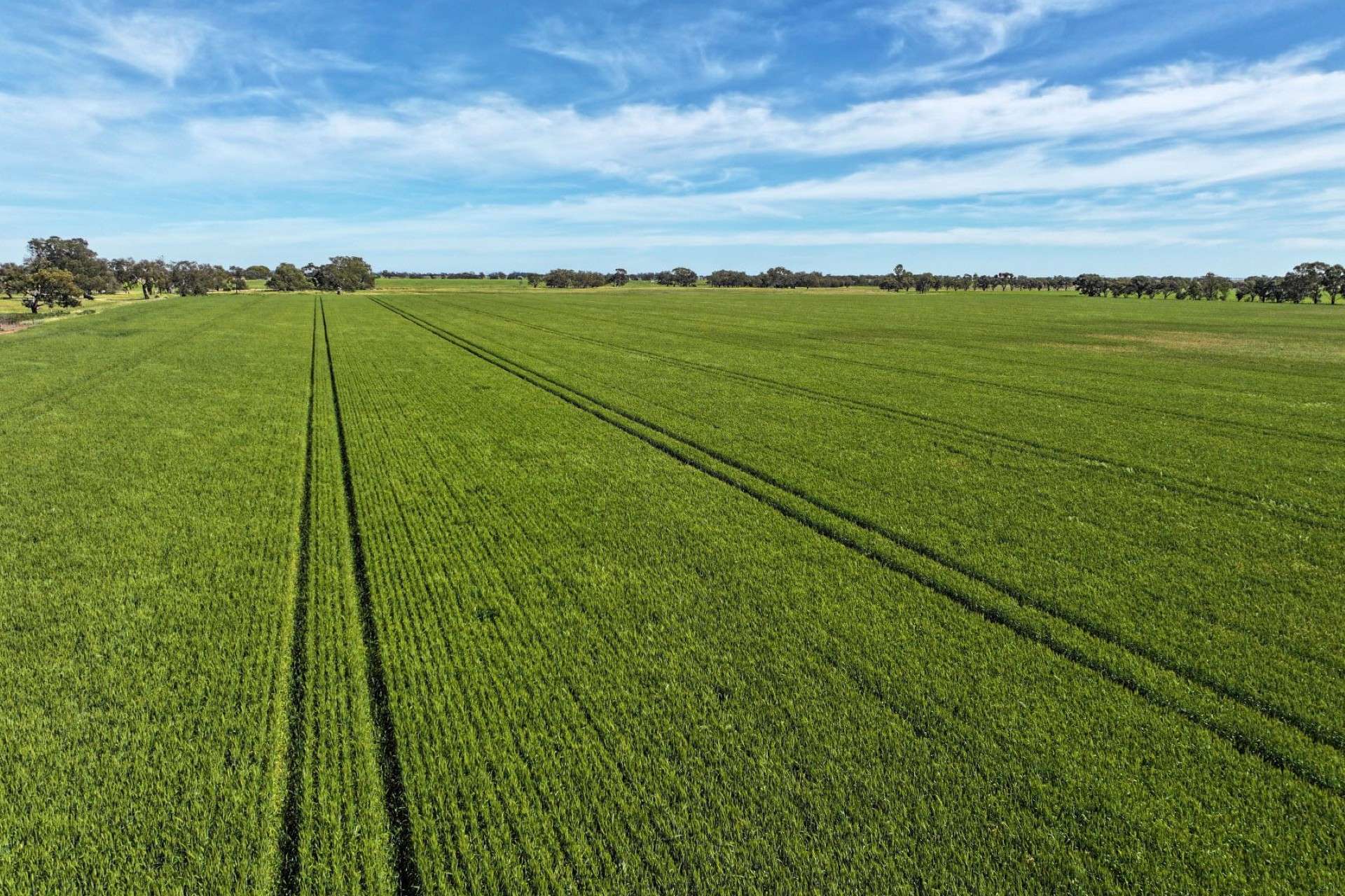 1800 Mt Terrick Road, Roslynmead For Sale by Farmbuy.com - image 11
