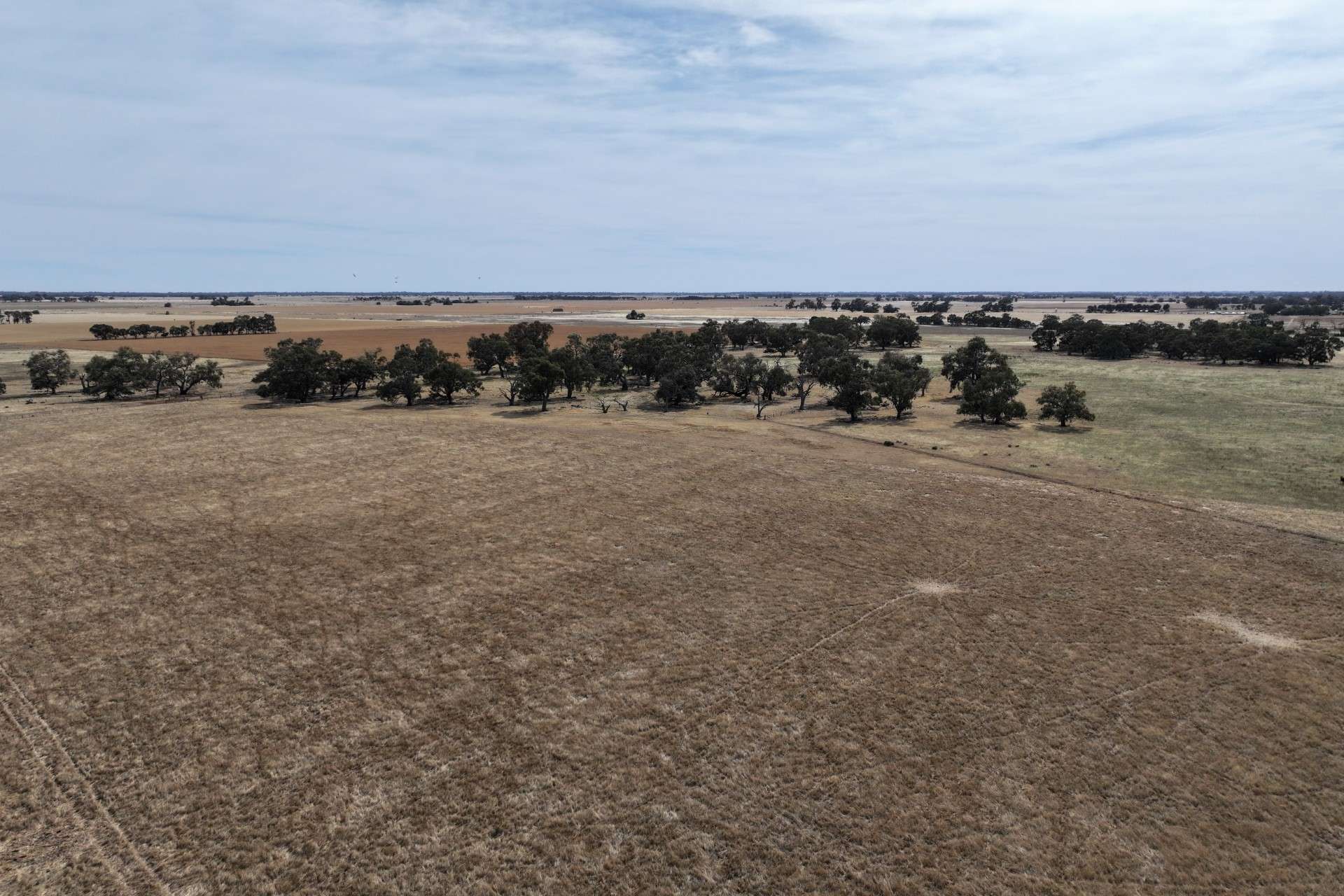 1800 Mt Terrick Road, Roslynmead For Sale by Farmbuy.com - image 12