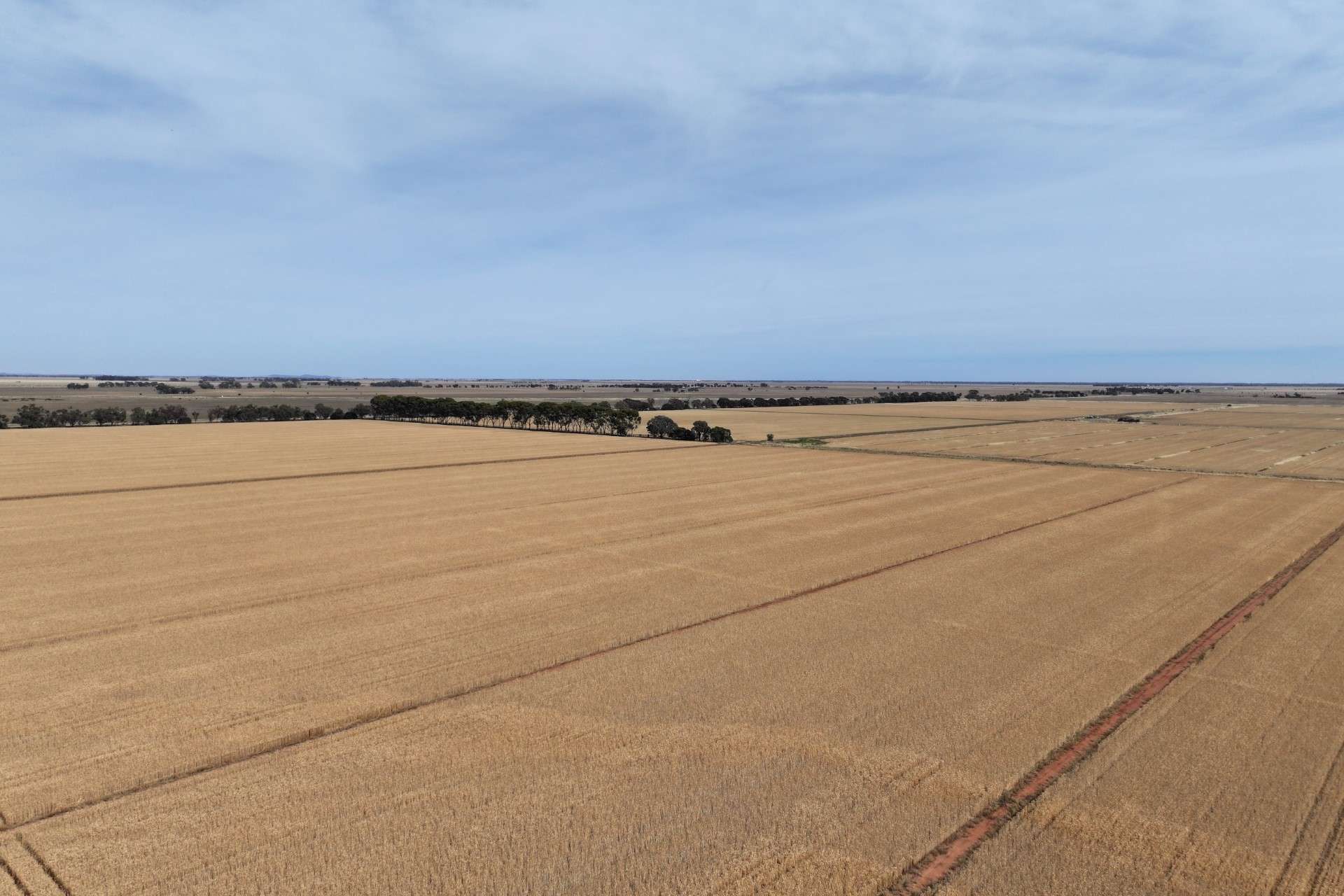 1800 Mt Terrick Road, Roslynmead For Sale by Farmbuy.com - image 13