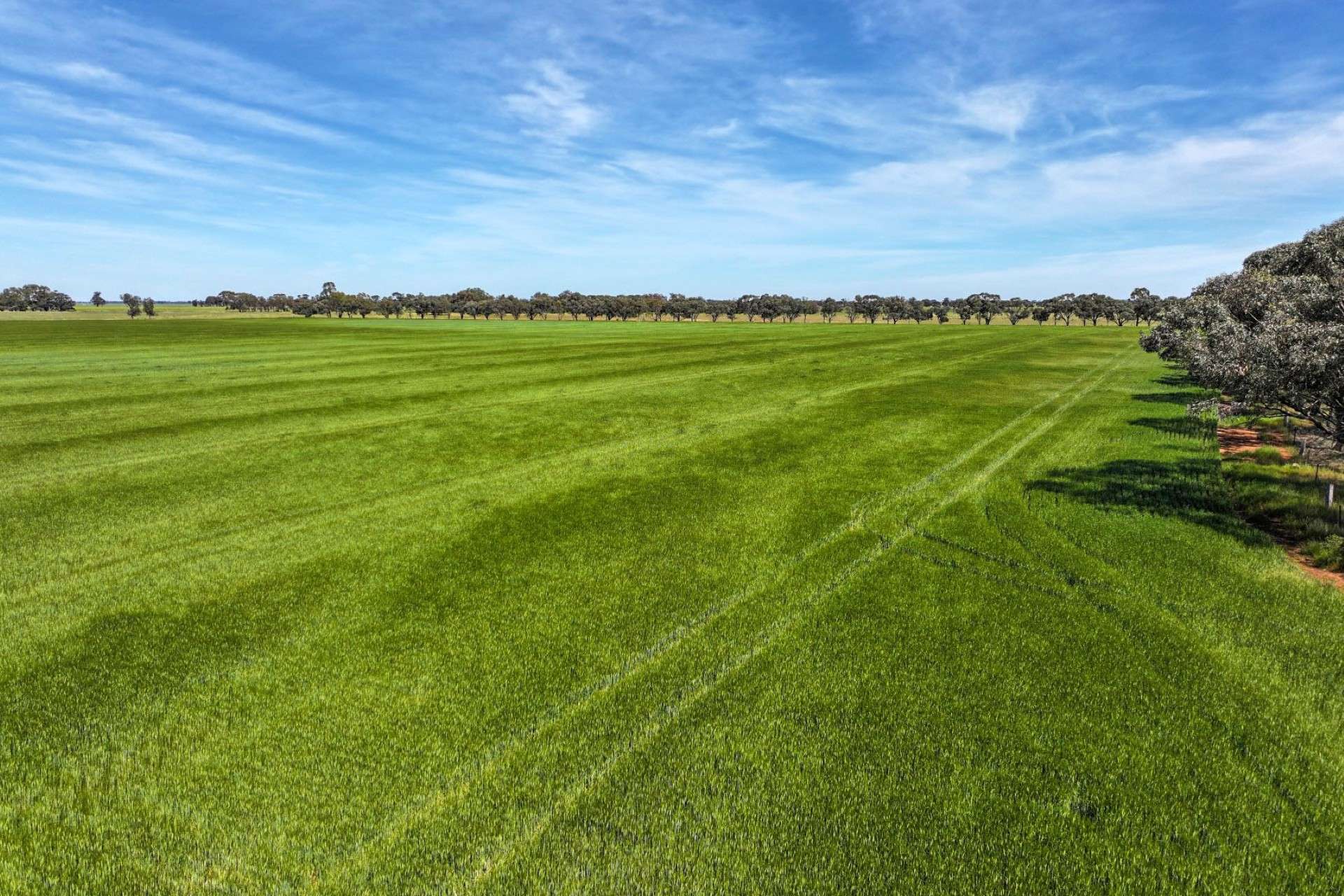 1800 Mt Terrick Road, Roslynmead For Sale by Farmbuy.com - image 4