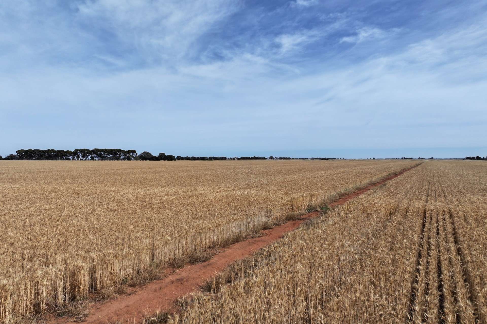 1800 Mt Terrick Road, Roslynmead For Sale by Farmbuy.com - image 4