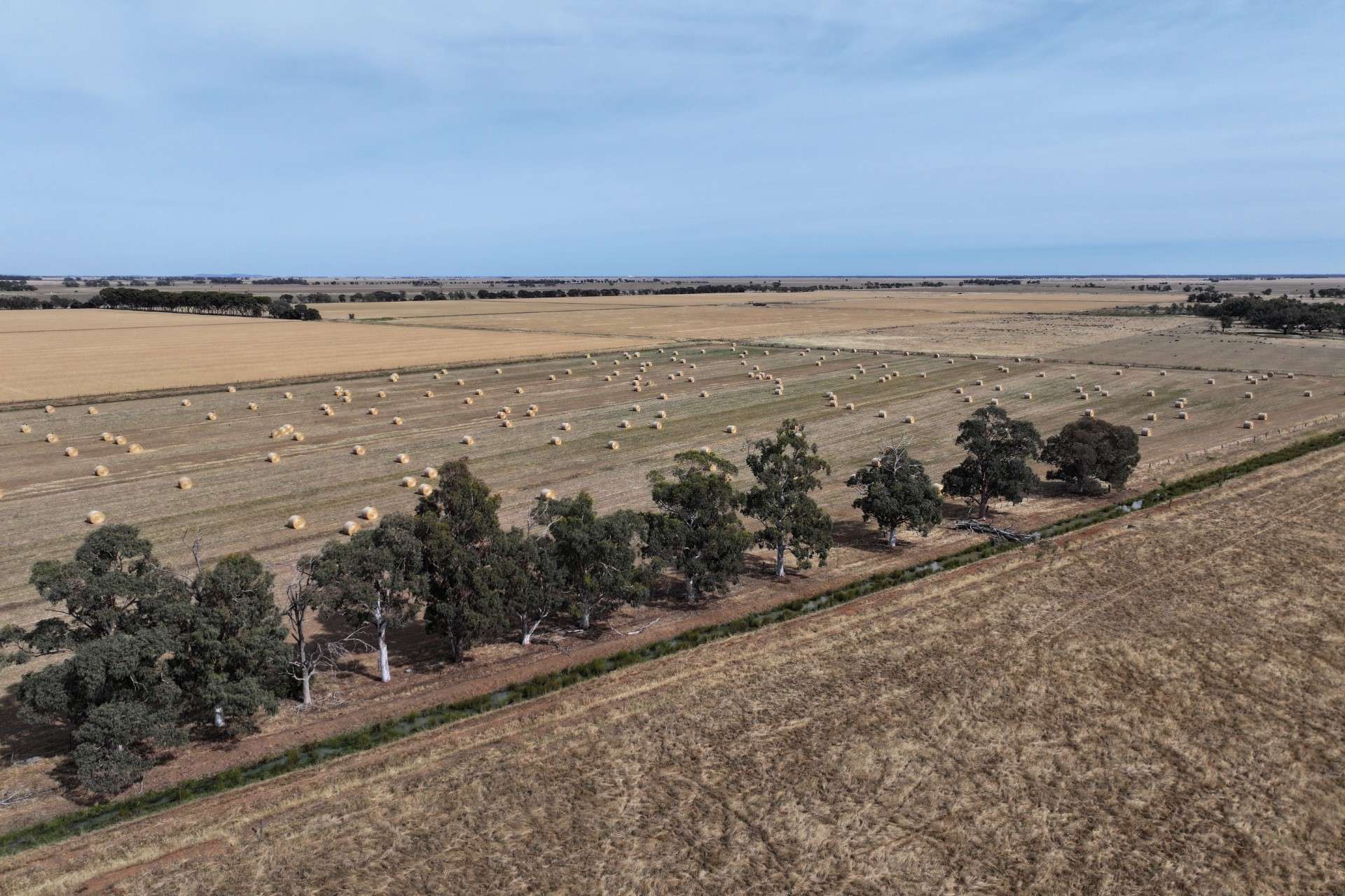1800 Mt Terrick Road, Roslynmead For Sale by Farmbuy.com - image 11