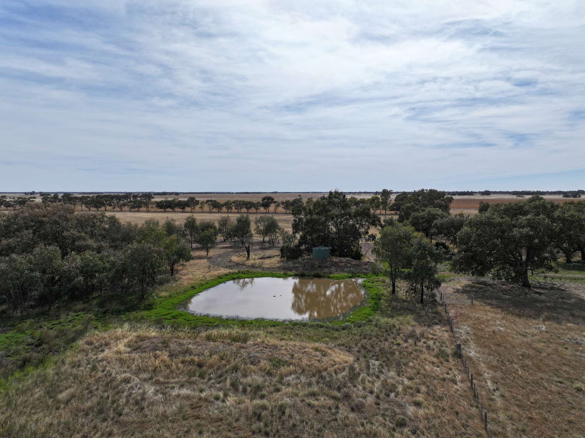 1800 Mt Terrick Road, Roslynmead For Sale by Farmbuy.com - image 9