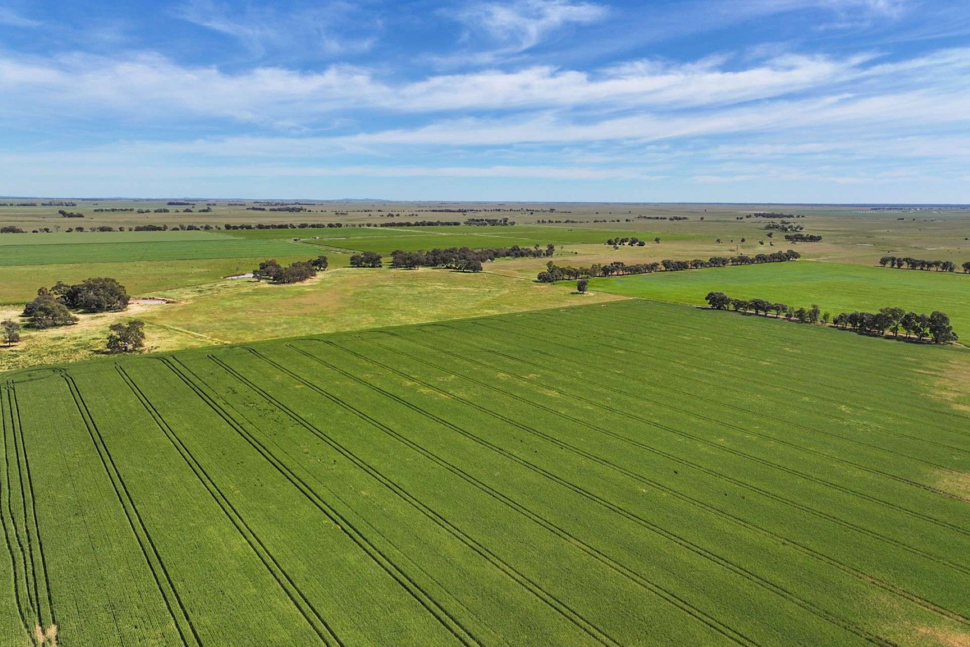 1800 Mt Terrick Road, Roslynmead For Sale by Farmbuy.com - image 2
