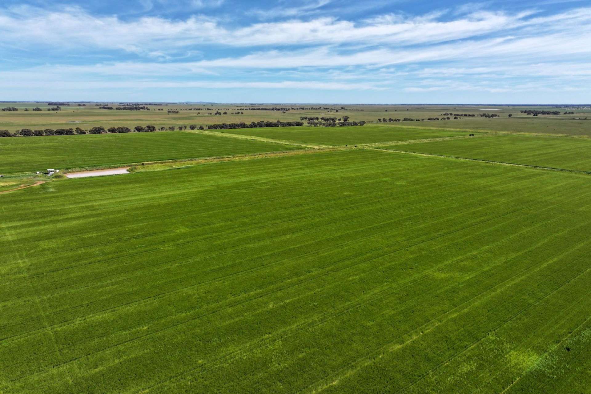 1800 Mt Terrick Road, Roslynmead For Sale by Farmbuy.com - image 3