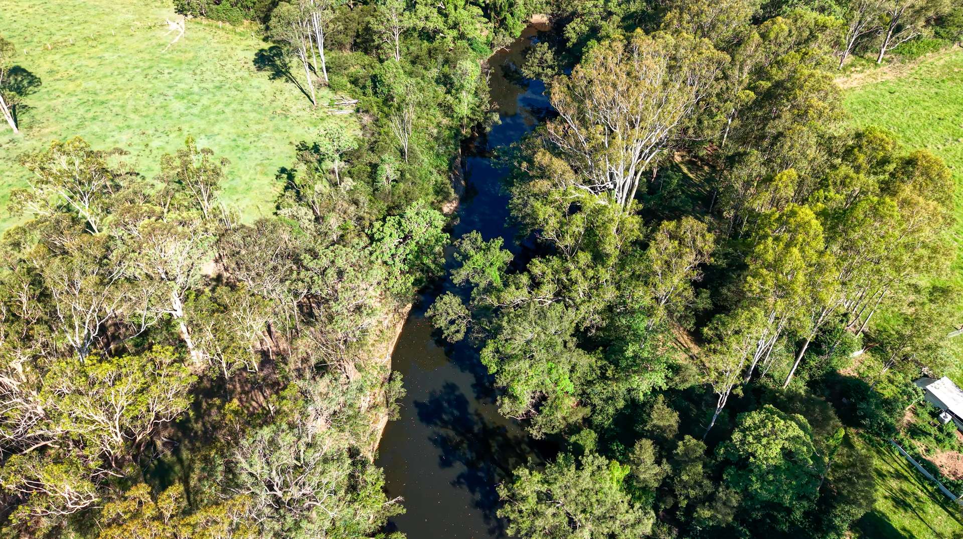 119 Paddys Flat Road, Tabulam For Sale by Farmbuy.com - image 12