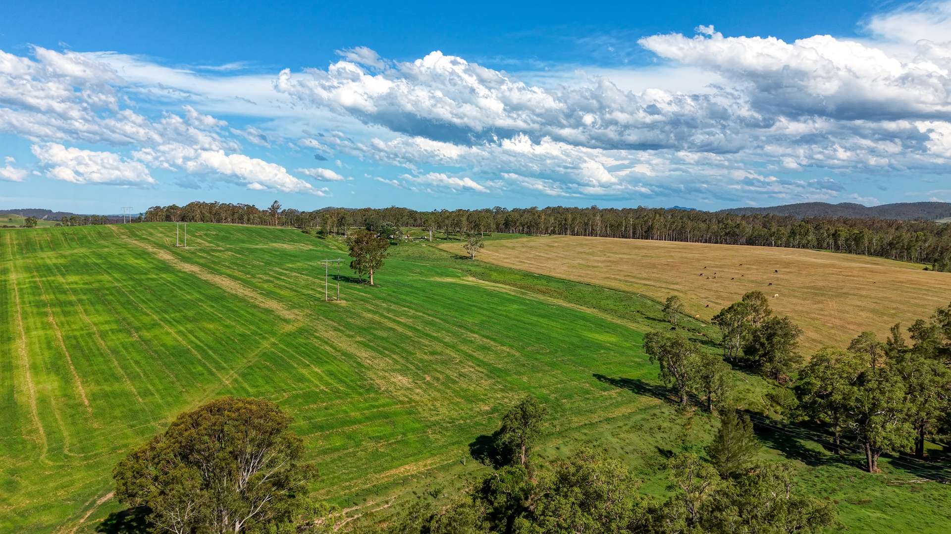 119 Paddys Flat Road, Tabulam For Sale by Farmbuy.com - image 15