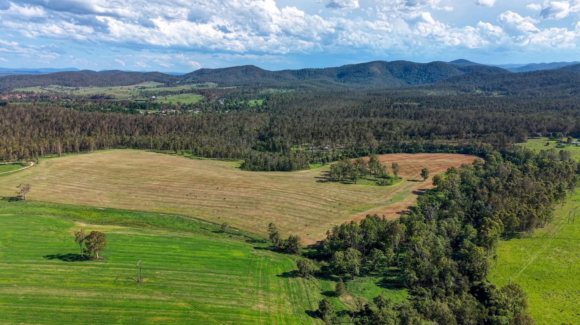 119 Paddys Flat Road, Tabulam For Sale by Farmbuy.com - image 17