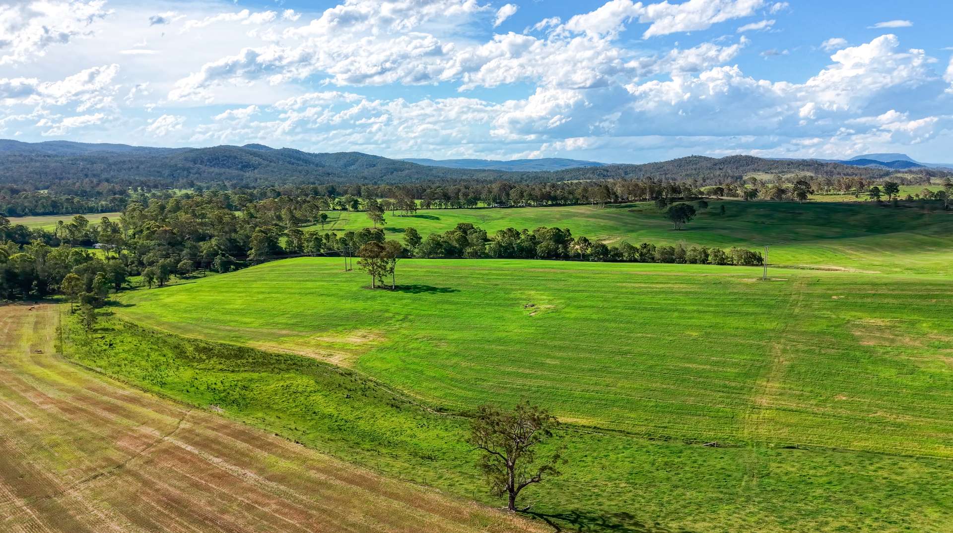 119 Paddys Flat Road, Tabulam For Sale by Farmbuy.com - image 8