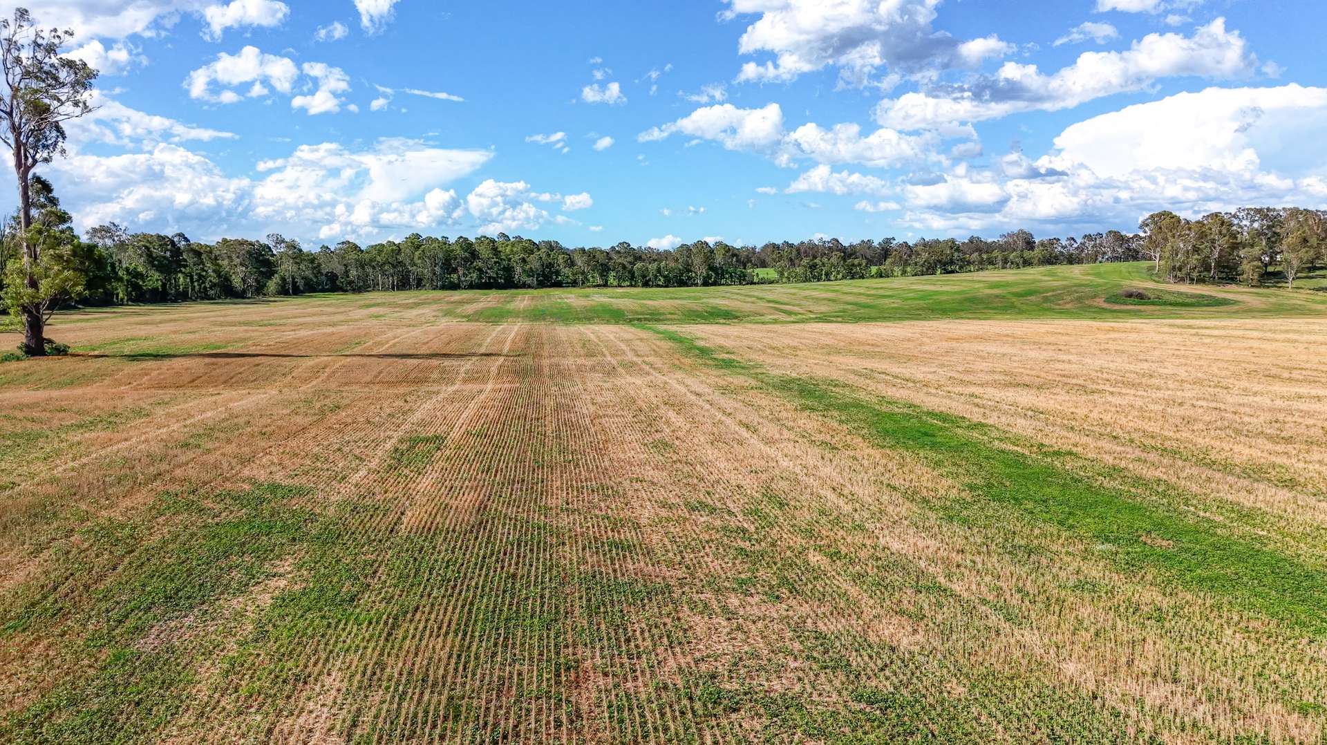 119 Paddys Flat Road, Tabulam For Sale by Farmbuy.com - image 21