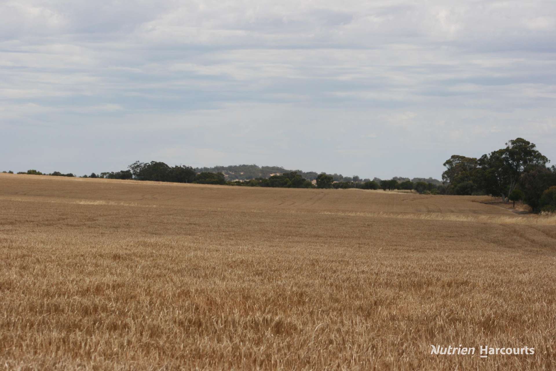 Lot 1306 Talbot West Road, Talbot West Sold by Farmbuy.com - image 9