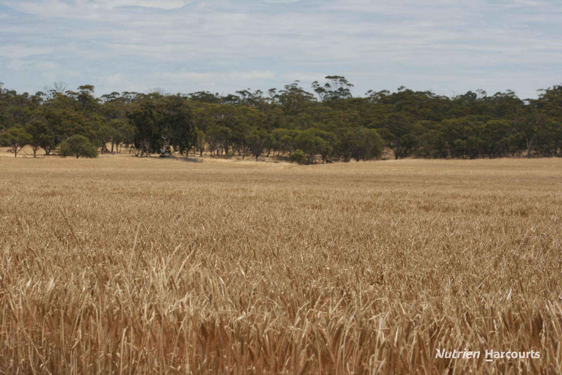 Lot 1306 Talbot West Road, Talbot West Sold by Farmbuy.com - image 3