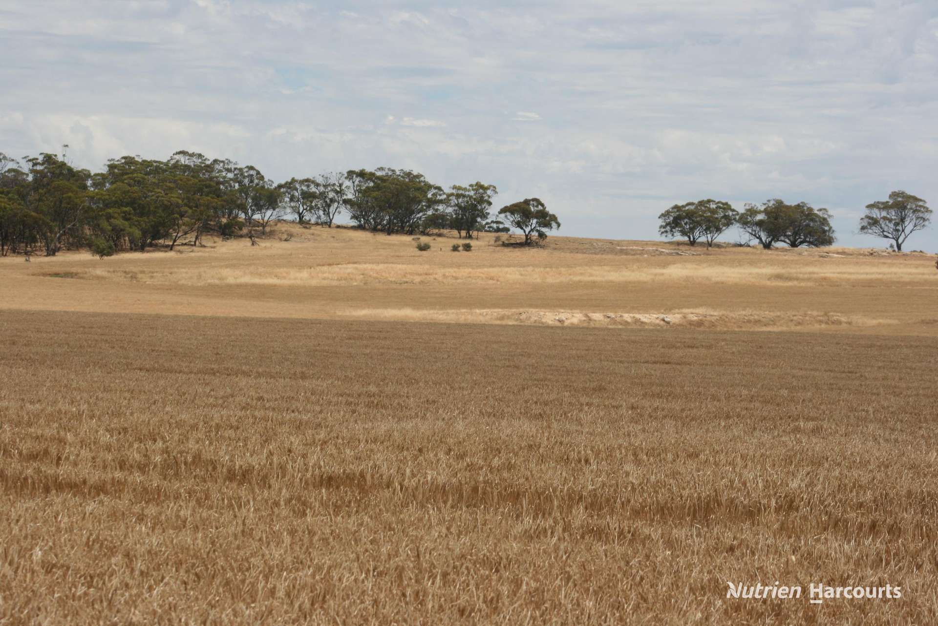 Lot 1306 Talbot West Road, Talbot West Sold by Farmbuy.com - image 10
