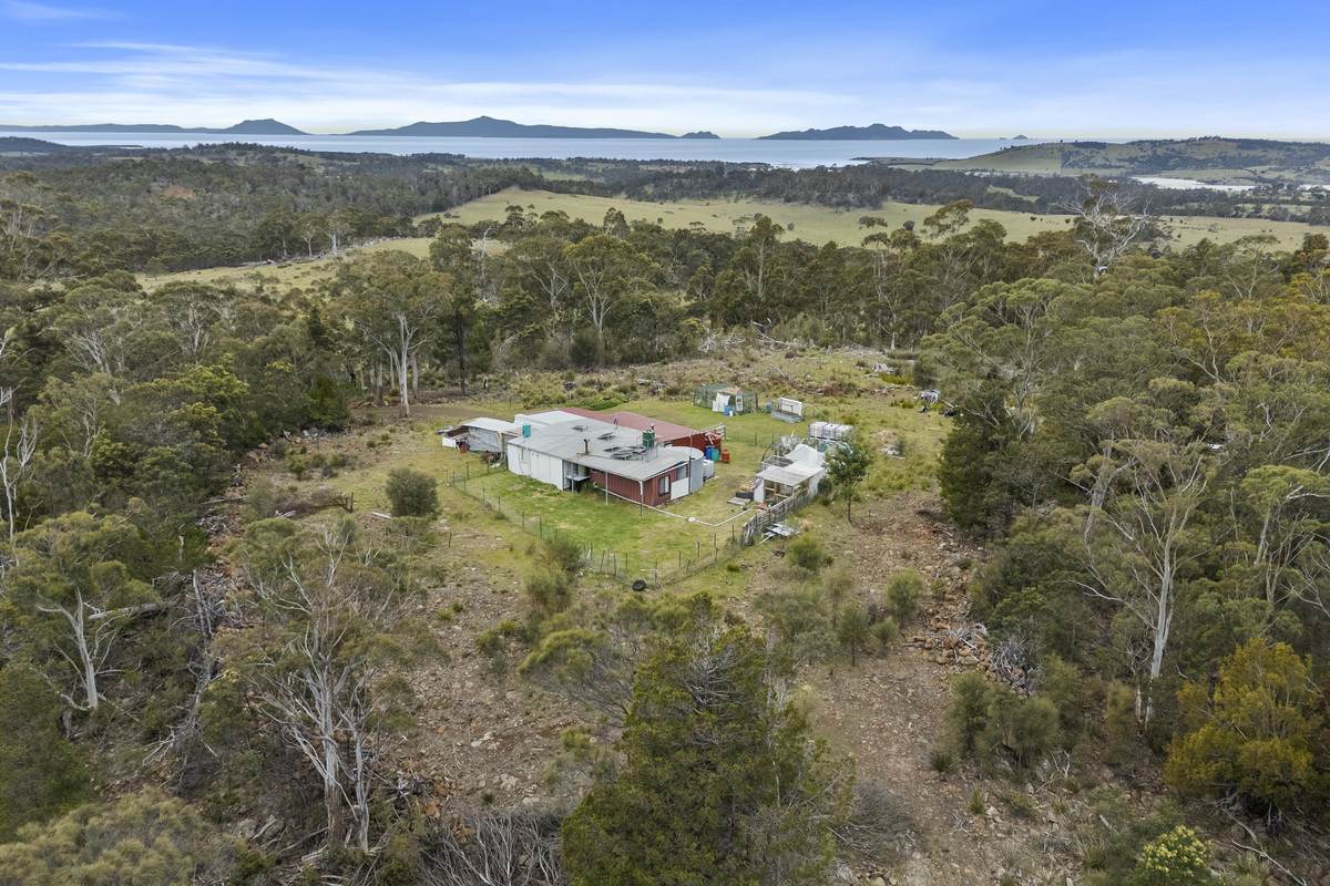 Lot 4, 194 Bresnehans Road, Little Swanport For Sale by Farmbuy.com - image 15