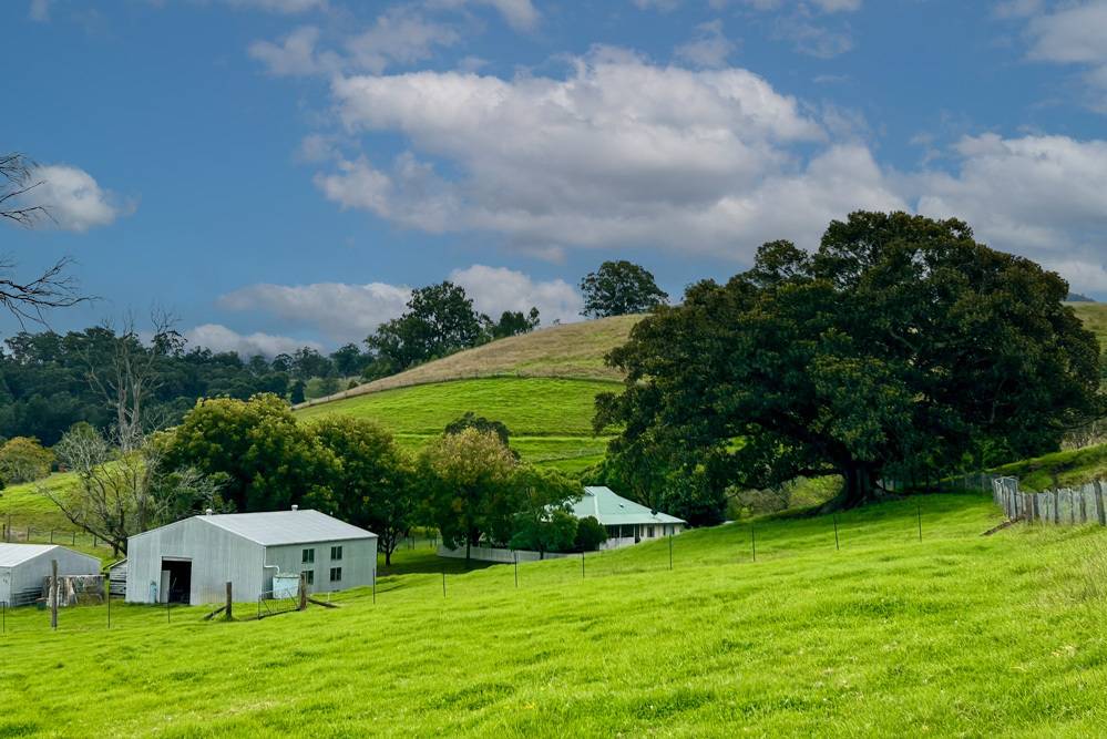 1644 Paterson River Road, Lostock For Sale by Farmbuy.com - image 2