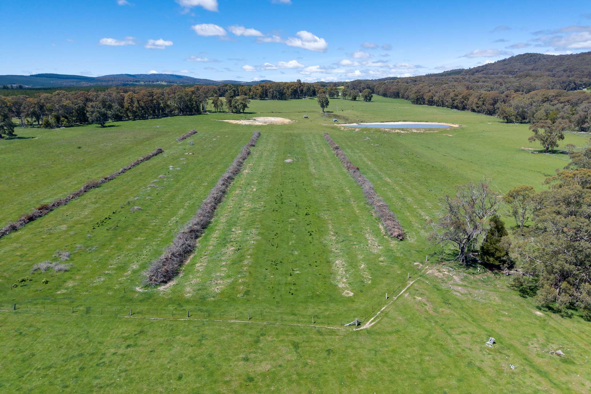 218 Hurdle Flat Road, Beechworth For Sale by Farmbuy.com - image 11